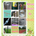 Electro Galvanized Welded Wire Mesh (XA-400)